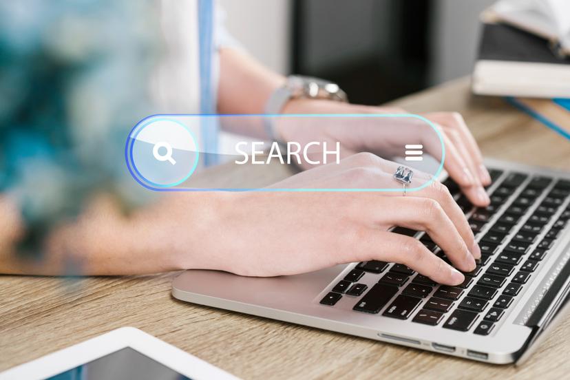 Reports & Analytics Interface